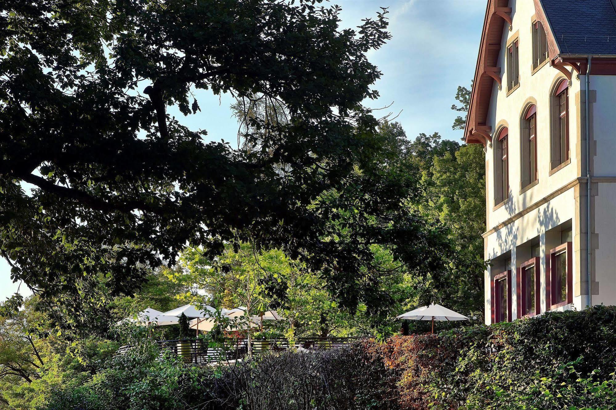 Sorell Hotel Rigiblick - Studios & Spa Suites Zürich Kültér fotó